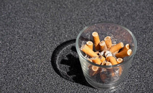 厕所里的小黑虫怎么清除