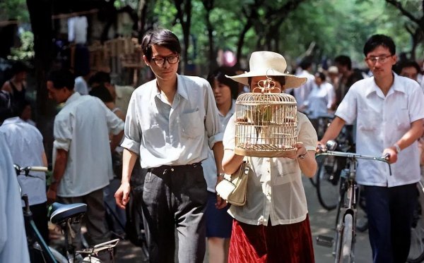 青岛在哪个省哪个城市