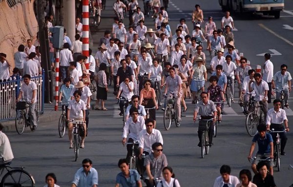 青岛在哪个省哪个城市