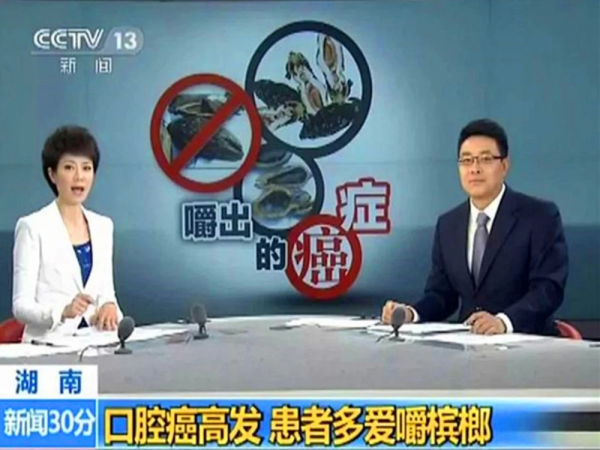 槟榔树长什么样子图片