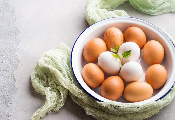 受精蛋的鉴别方法介绍