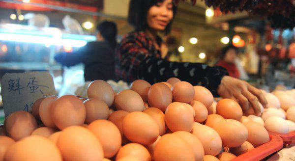 受精蛋的鉴别方法介绍