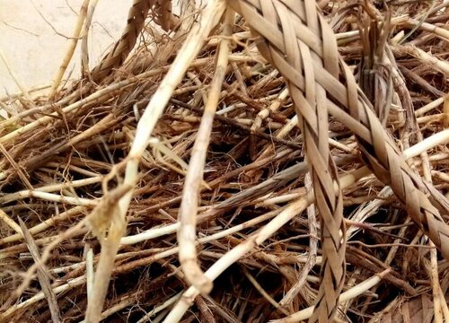 茅草根的功效与作用
