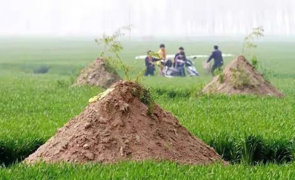 老人去世三七禁忌是什么