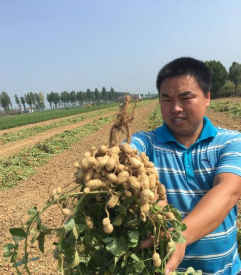 种植常见的病虫害及其防治措施