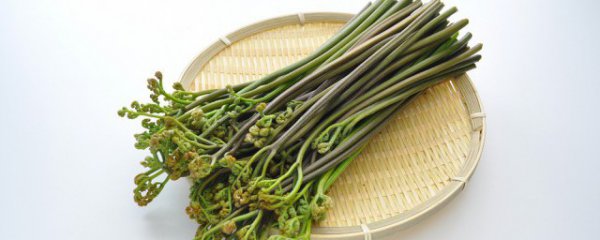 蕨菜下锅煮几分钟就熟了