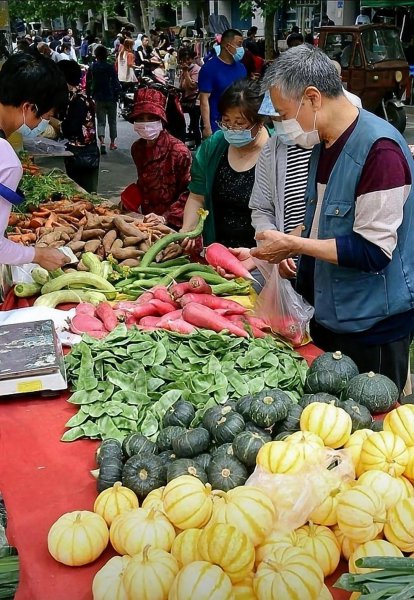 农村做什么最赚钱的十大行业