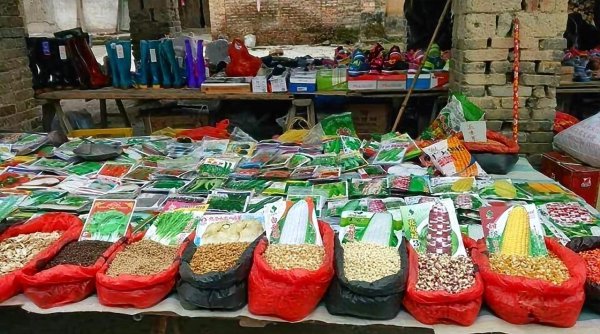 农村做什么最赚钱的十大行业