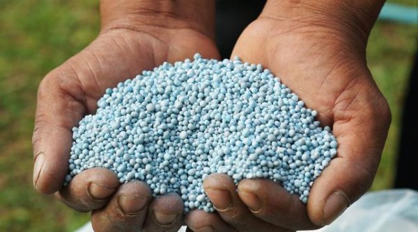 芹菜用碳酸氢铵追肥好不好