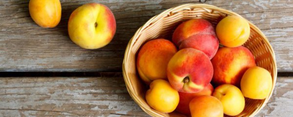 孕妇晚上可以吃桃子吗