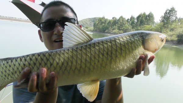 鱼钩上饵料的正确图