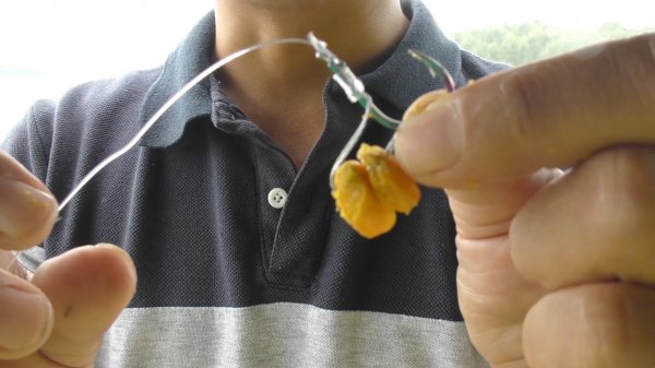 鱼钩上饵料的正确图