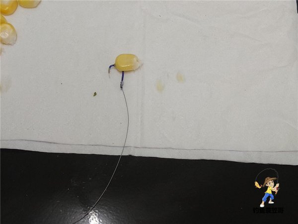 鱼钩上饵料的正确图