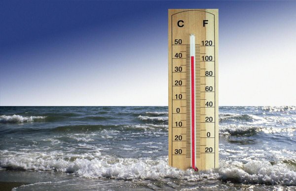 比热容大的升温降温快还是慢