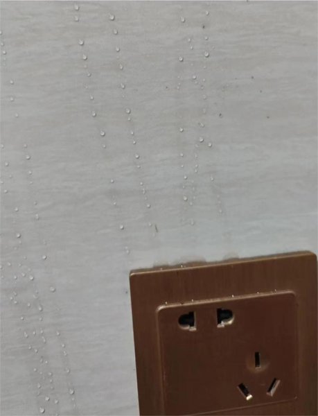 一楼带院子的房子真实感