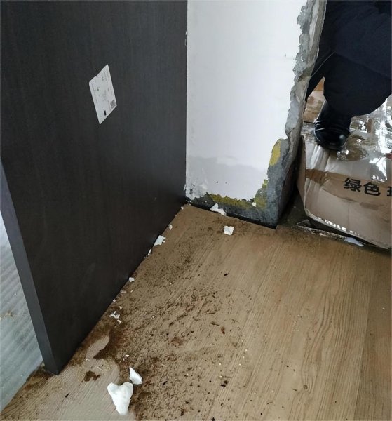 一楼带院子的房子真实感