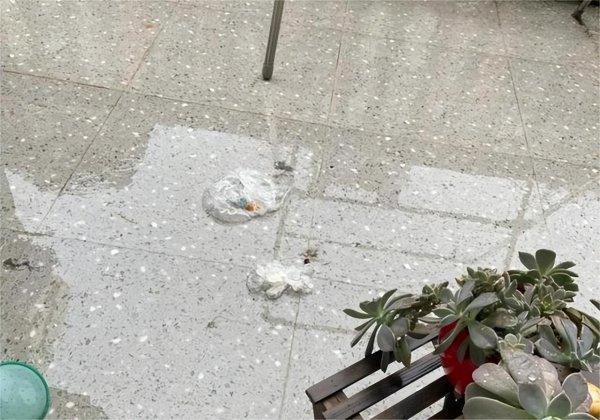 一楼带院子的房子真实感