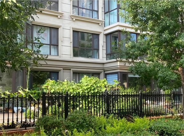 一楼带院子的房子真实感