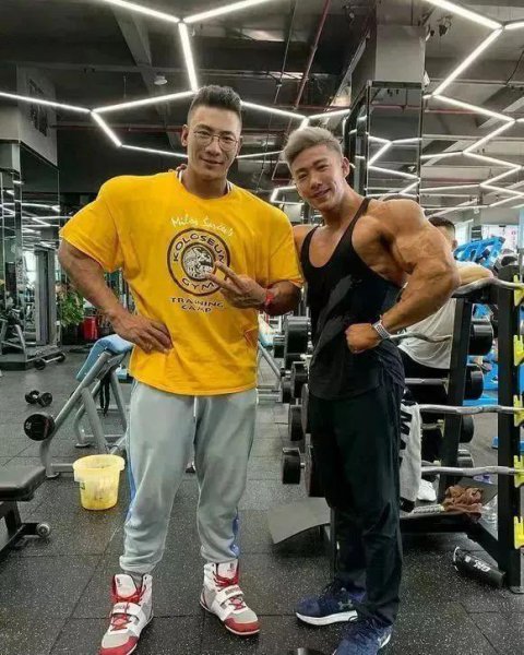 健身鹿晨辉个人简介