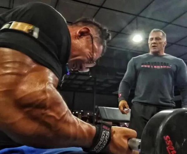 健身鹿晨辉个人简介