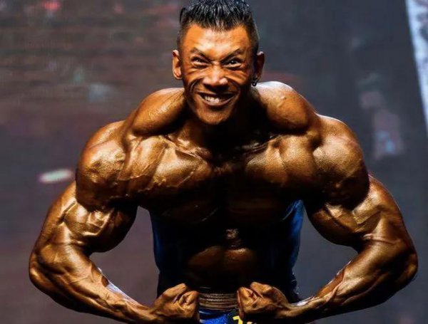 健身鹿晨辉个人简介