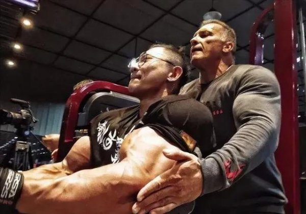 健身鹿晨辉个人简介