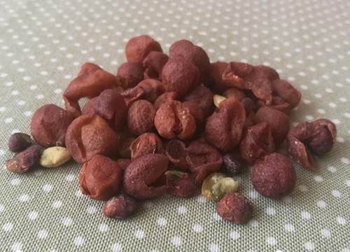 黄皮什么时候上市