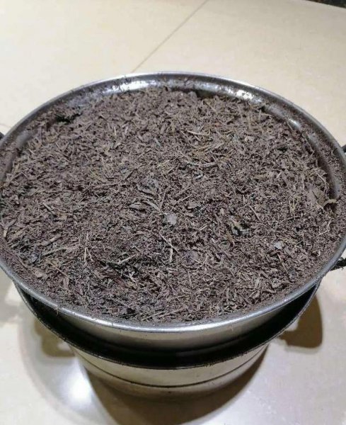 怎么杀死土壤里的虫子