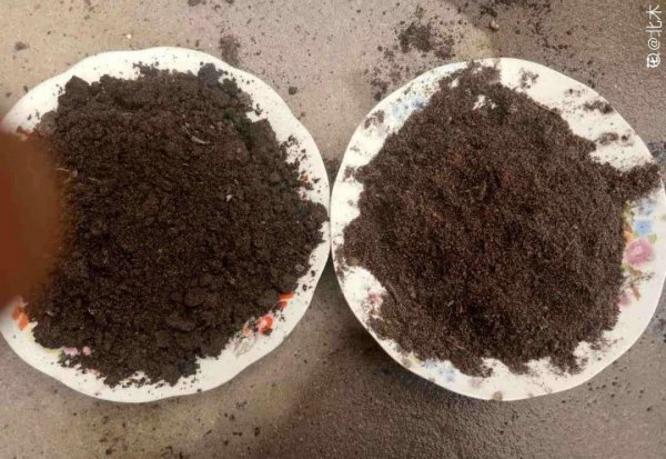 怎么杀死土壤里的虫子