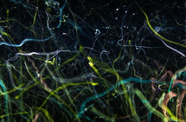 苏格拉底的三个哲学思想