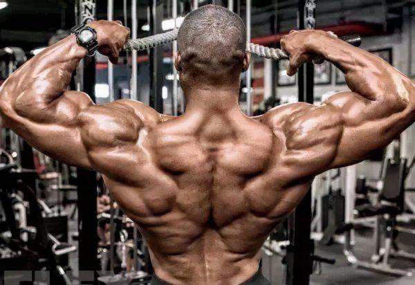 肩后束锻炼方法及训练难点