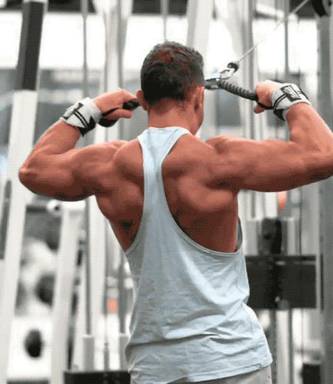 肩后束锻炼方法及训练难点