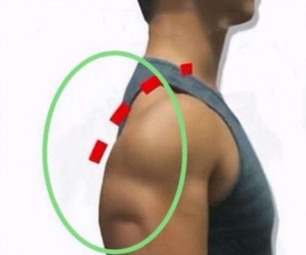 肩后束锻炼方法及训练难点