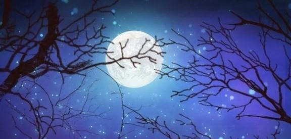 白羊和处女座合适吗