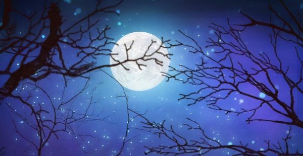 白羊和处女座合适吗