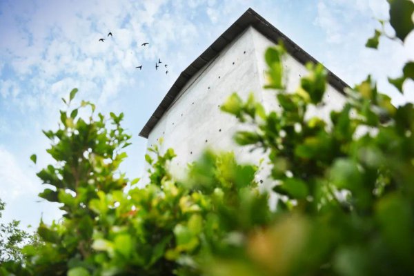 燕窝怎么来的形成的