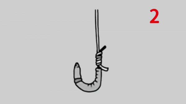 蚯蚓的正确挂钩法
