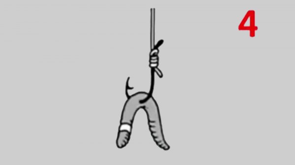 蚯蚓的正确挂钩法