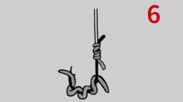 蚯蚓的正确挂钩法