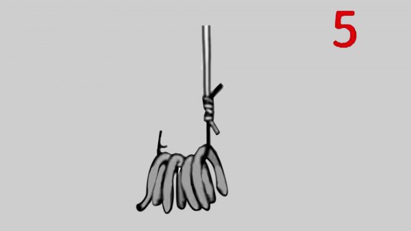 蚯蚓的正确挂钩法