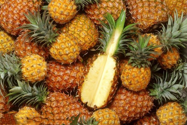 和菠萝长得一样水果叫什么名字