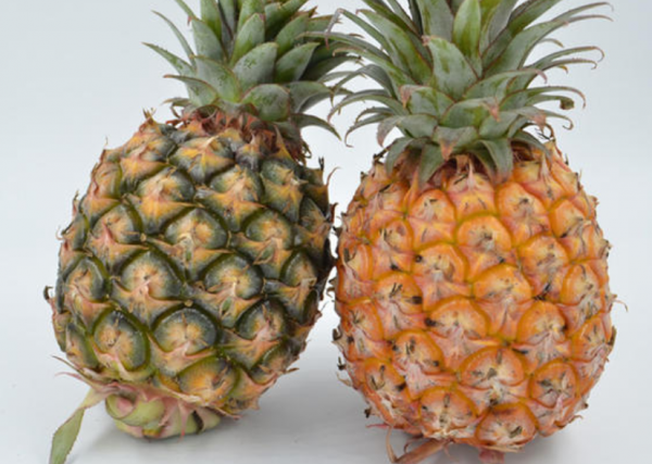 和菠萝长得一样水果叫什么名字