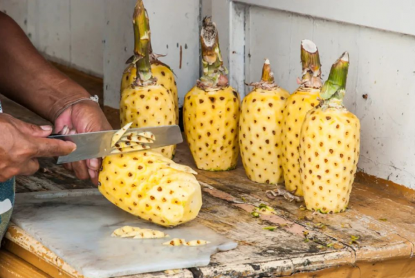 和菠萝长得一样水果叫什么名字