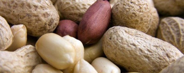 南方什么地方适合种植花生