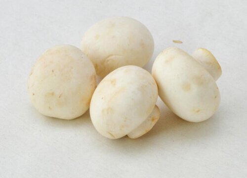 如何判断口蘑是否烤熟了