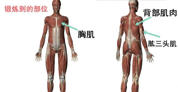 握力棒的正确锻炼方法