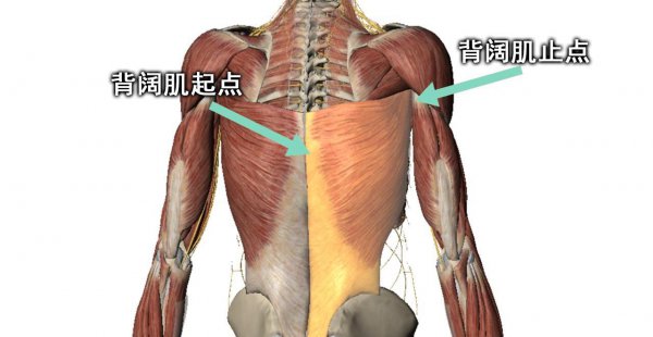 握力棒的正确锻炼方法
