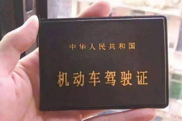 驾照是什么意思