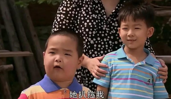 乡村爱情一共多少部