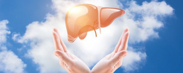 冬天怎么养护肝脏呢